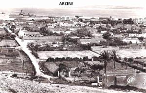 Arzew 315